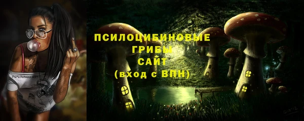 крисы Киренск