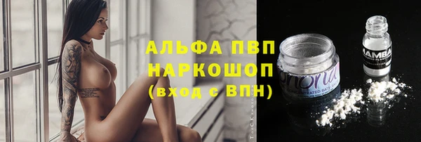 крисы Киренск
