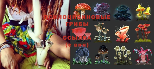 крисы Киренск