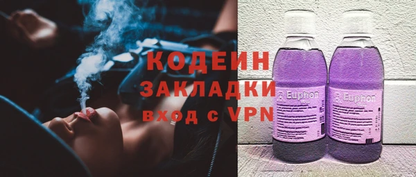 крисы Киренск