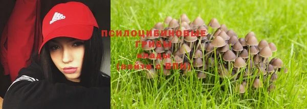 крисы Киренск
