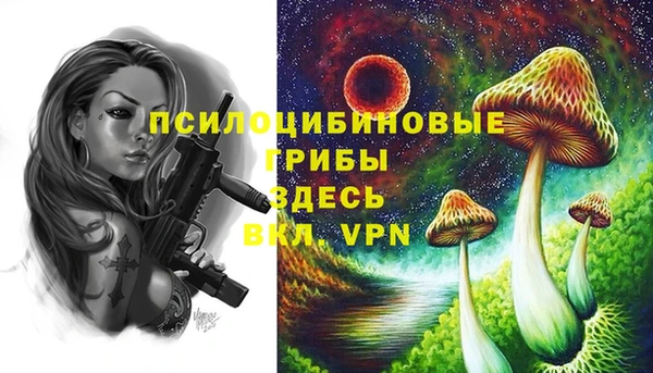 крисы Киренск